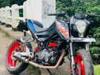 Demak Duke 200 2015