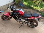 Demak DZM 200 2015