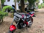 Demak DZM 2015