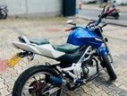 Demak DZM 2015