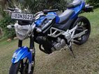 Demak DZM 2015