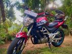 Demak DZM 2016