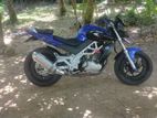 Demak DZM 200 2015