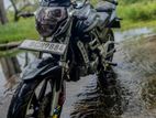 Demak DZM DZM200 2015