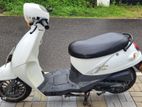 Demak Piranha Plus 2015