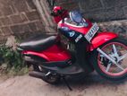 Demak Rino 2016