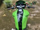 Demak Skyline 225GT 2017