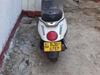 Demak Transtar 113cm 2016