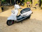 Demak Transtar 2021