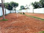 Demanding luxury land for sale in Ja Ela Near to Christ King College