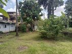 Dematagoda 35 P Premium Flat Land for Sale