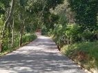 Deram your land for sale Nillabe