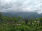 Deram your land for sale pundaluoya
