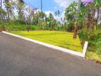 Developed Land for Sale in Mirigama C54