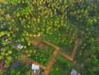 Developed Land in Polgahawela - H 09