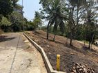 Developed Land Plots in Hapugala (Lot 02)