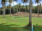 Developed Land with Excellent Access , Polgahawela u03