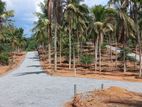 Developed Residential Land for Sale in Kahathuduwa