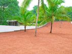 Developed Residential Property for Sale in Dambadeniya P5