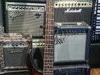 Deviser Bass Guitar