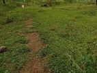 DEWINUWARA : 9.62P PRIME LAND FOR SALE