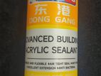 DG Advanced Silicone Sealant