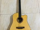 DG220C-P Acoustic Guitar