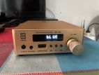 DH Audio Digital Amplifier