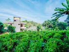 (DH47) 3 Story Holiday Bungalow House for Sale in Pitadeniya, Galle