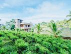 (DH47) Three Story Holiday Bungalow house for sale in Pitadeniya