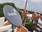 Dialog TV