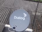 Dialog Tv