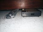 Dialog TV Receiver