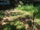 Dias Place, Panadura Town Land for Sale