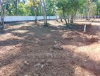 Dibbedda road Luxury Land for Sale In Near Panadura