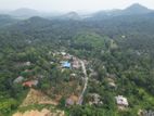දිද්දෙනිය බස් පාරෙන්ම වටිනා ඉඩමක් විකිණීමට ඇත