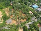 දිද්දෙනිය බස් පාරෙන්ම වටිනා ඉඩමක් විකිණීමට ඇත - හංවැල්ල ,පහත්ගම