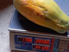 Digital Scale