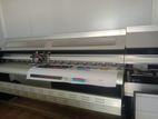 Offset Printing