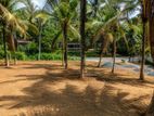 දීද්දෙනිය පුරවරයෙන් විකිණීමට අගනා බිම් කොටස් කිපයක්