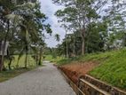 දික්කුඹුර පාරෙන් නේවාසික බිම් කොටස්