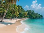 දික්වැල්ල මුහුදු තිරයෙන් ඉඩමක්