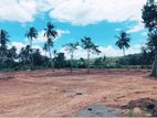 Dikwella Best Property