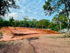 DIKWELLA BEST TOURISM LAND PLOTS SALE