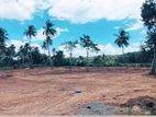 Dikwella New Land for Sale