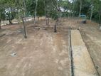 Dikwella Surfing Beach Land Plot