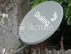 Dialog TV Satellite