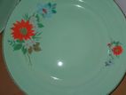 Dinner Plate Set