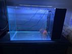 Discus Fish With Tank