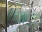 Discus fish tank